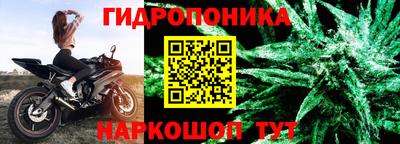 бошки Будённовск